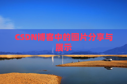 CSDN博客中的图片分享与展示